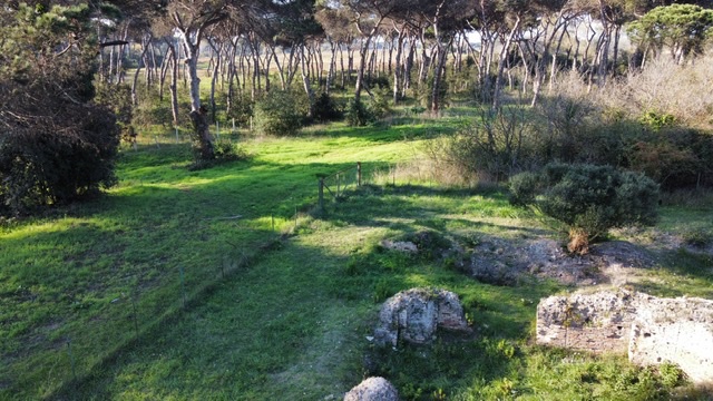 La villa romana di Procoio